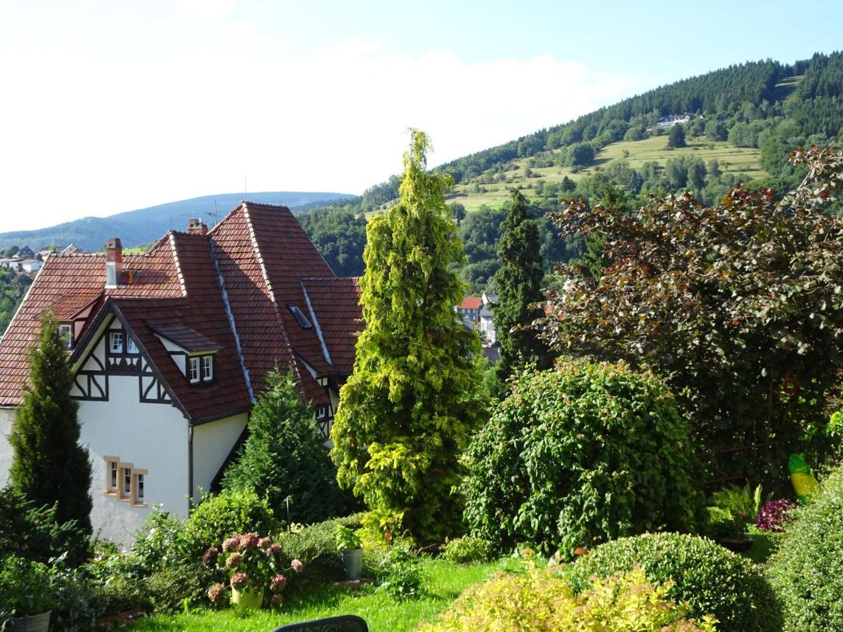 Ferienwohnung Panorama Rauenstein Kültér fotó