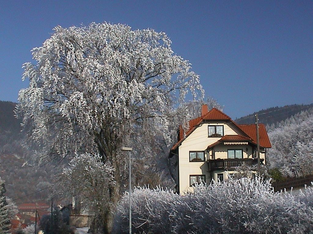 Ferienwohnung Panorama Rauenstein Kültér fotó