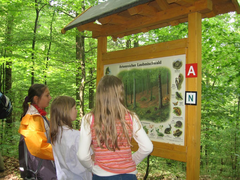 Ferienwohnung Panorama Rauenstein Kültér fotó