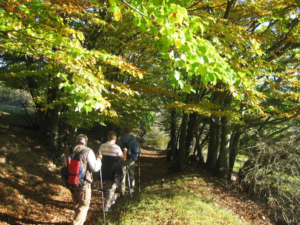 Ferienwohnung Panorama Rauenstein Kültér fotó