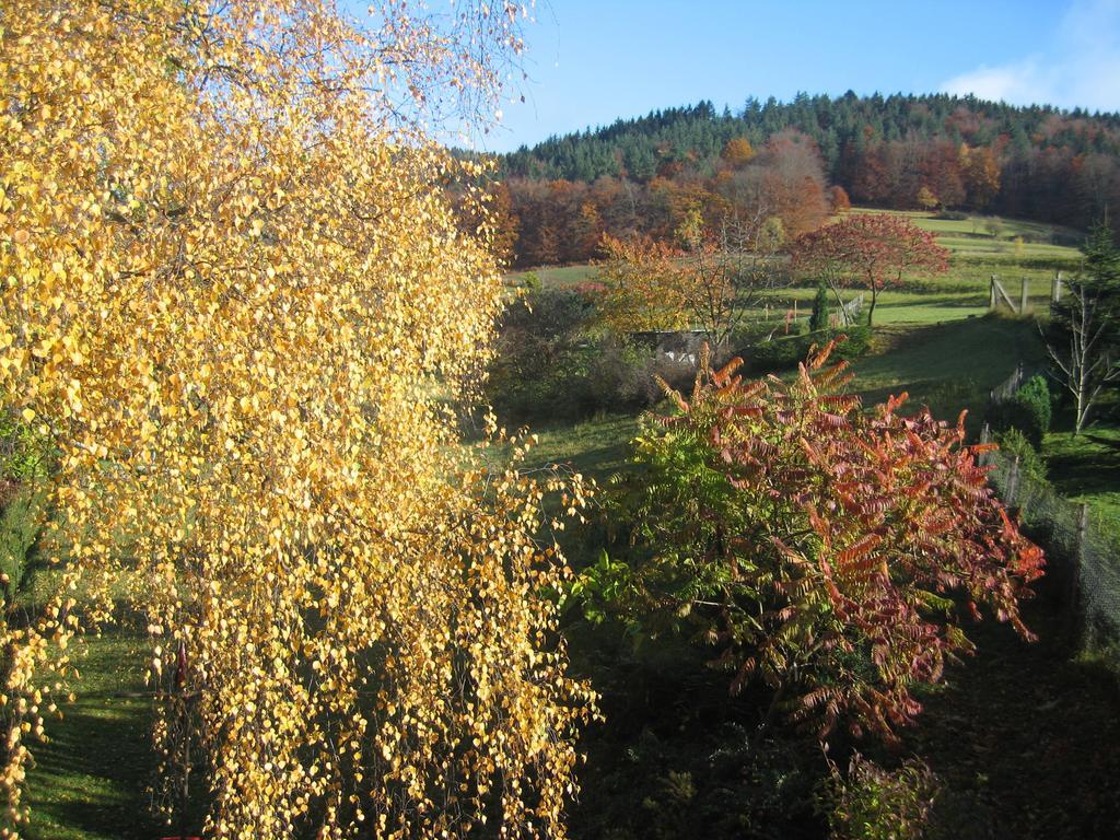 Ferienwohnung Panorama Rauenstein Kültér fotó