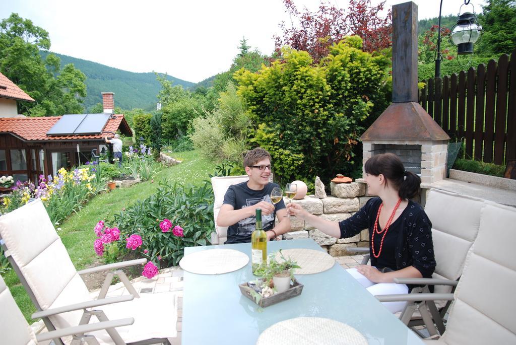 Ferienwohnung Panorama Rauenstein Kültér fotó