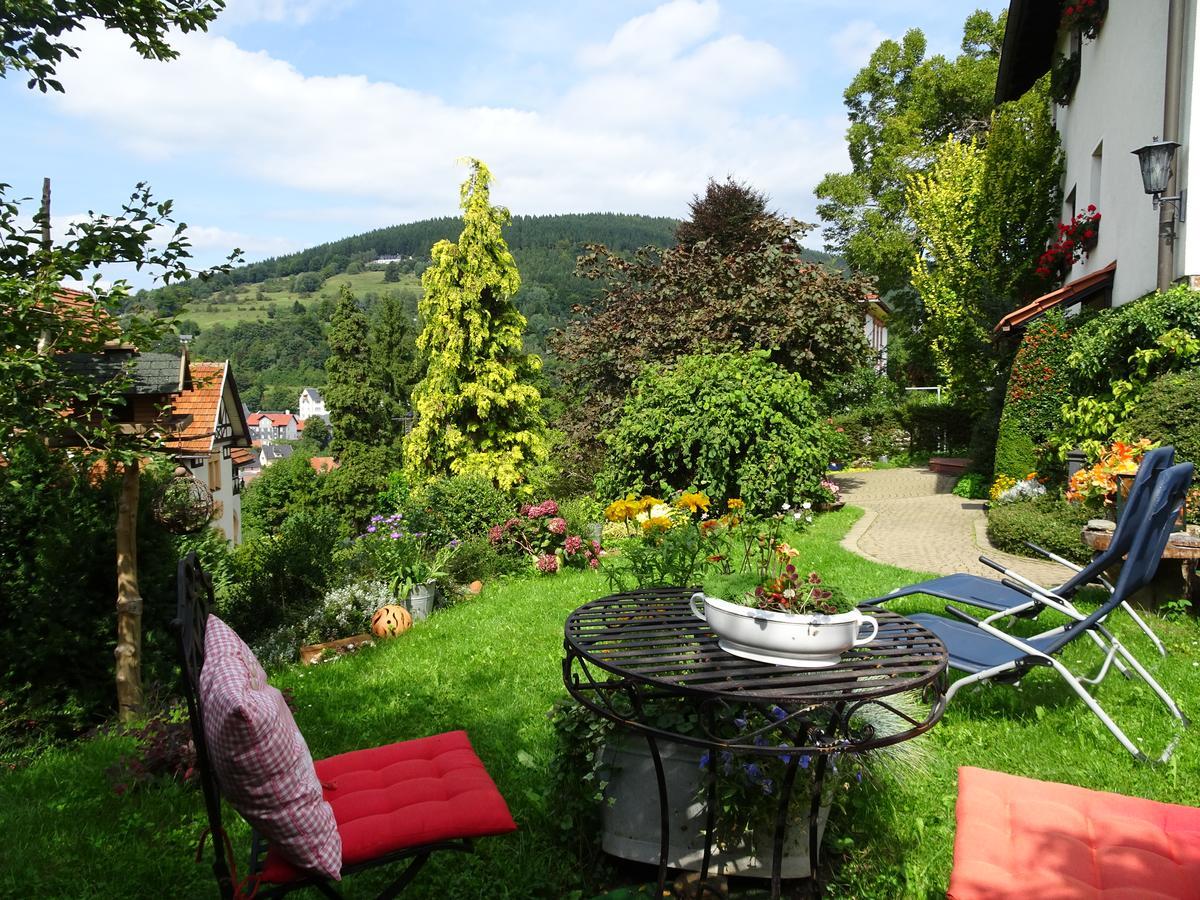 Ferienwohnung Panorama Rauenstein Kültér fotó